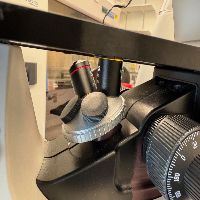 Invitrogen Evos XL Core Microscope image 1